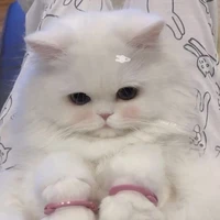 เป็นทุกอย่างแน้ว