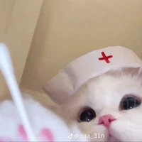 เเอด