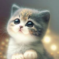 ตุ๊กแก