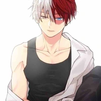 shoto todoroki/OD/
