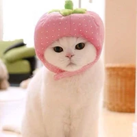 คนขี้เกียด(แอดเอง)