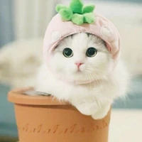 คนช่วยคิด(คนขี้เกียดอีกคน)