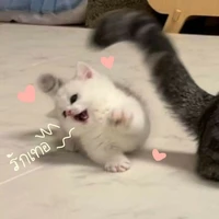 แอด