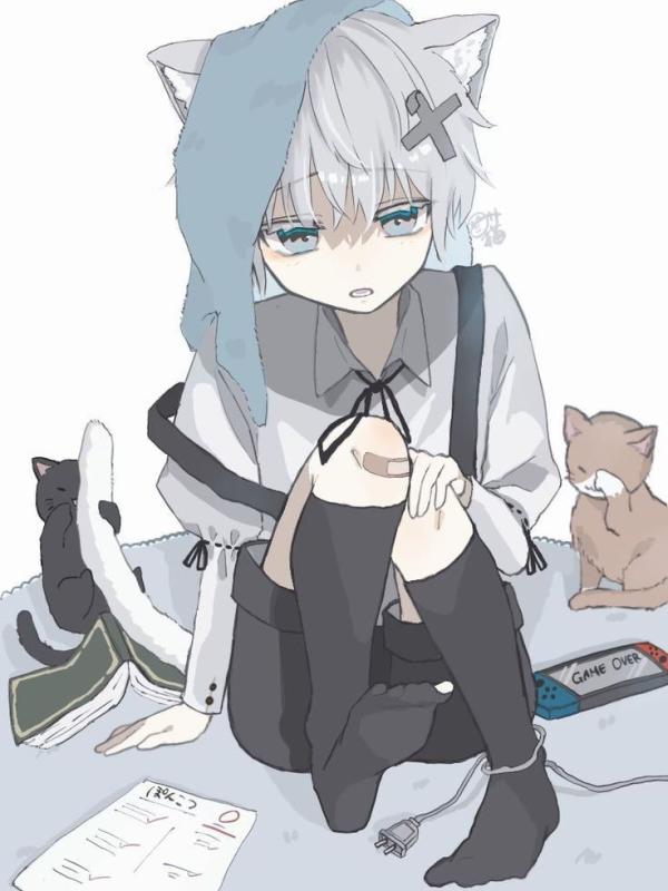 NovelToon