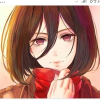 Mikasa