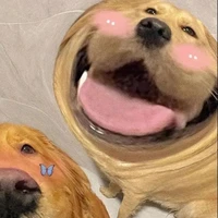 แอดเองง