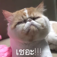 เเอดฉุดฉวย