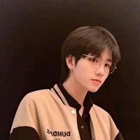 ชาวิน