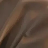 police officer