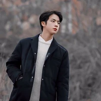 Kim Seokjin( Tae