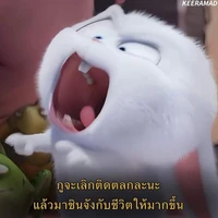 แอดเอง
