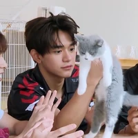 แคท