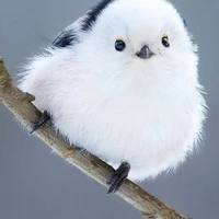 น่าน่า