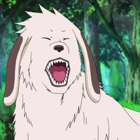 Akamaru