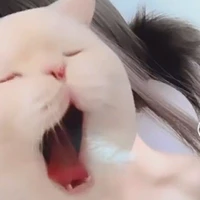 เมย