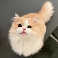 ยูสุ