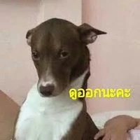 แอดเอ๊ง!!!