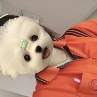 แอดเองค่าา