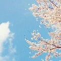 เป็นทุกอย่าง