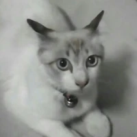 ทุกคน