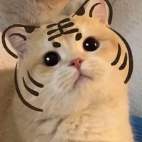 ทุกอย่าง