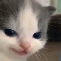 authornim ( innocent)