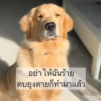 แอด ผู้ข.ก