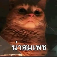 บู้บี้ เพื่อนแอด