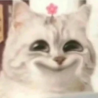 แอดเองค่าาาา👁👄👁