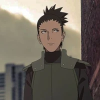 นารา ชิกามารุ