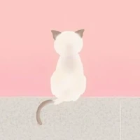 เเอดเองค้าบ