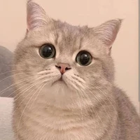 คาเอะ