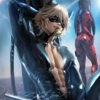 cat noir