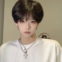 ดาวเหนือ