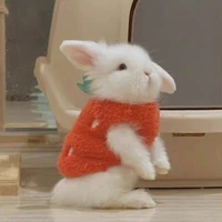 มินนี่