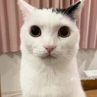 ？？？