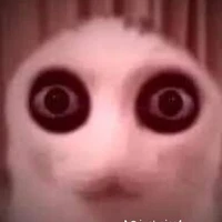 ？？？