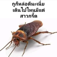 ลี