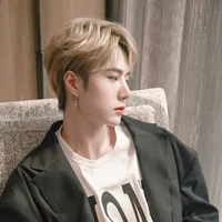 หวังอี้ป๋อ[พ่อ น.อ]