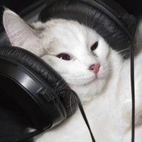 แอคแครอท🥕