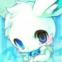 ༅Bunny༅