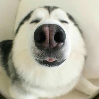 แอด