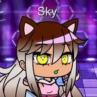sky fox