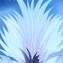 Boys member of Rulers of Heaven