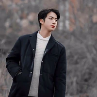 Kim Seokjin