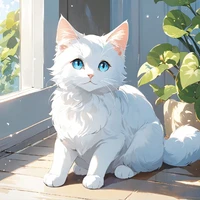 cat / dragon / ash / fl pet