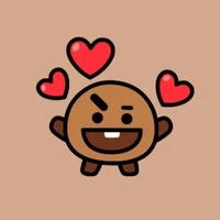system (shooky)