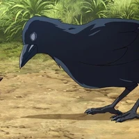 อีกาทุกตัว