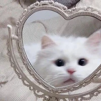 เเอดเอง
