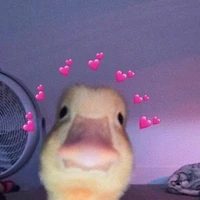 แอด